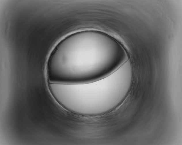 X0000099451516200805090717