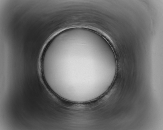 X0000099451517200805090717