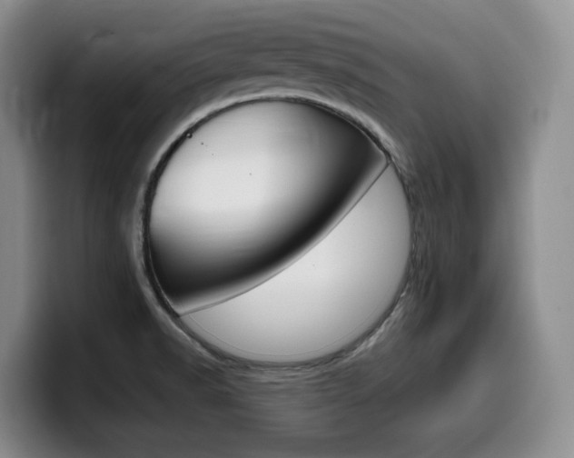 X0000099451518200805090717
