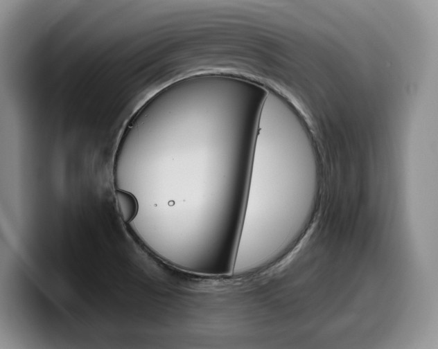 X0000099451521200805090717