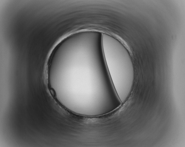 X0000099451522200805090717