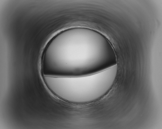 X0000099451523200805090717