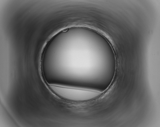 X0000099451525200805090717