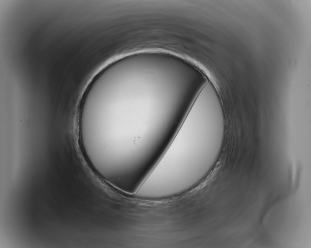 X0000099451526200805090717