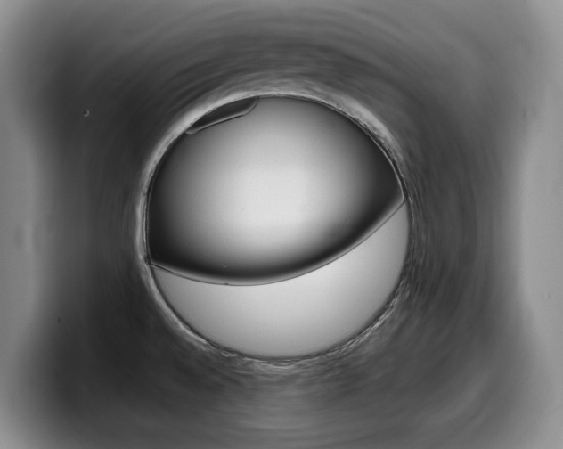 X0000099451528200805090717