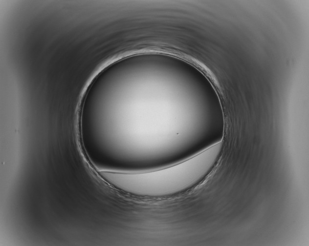 X0000099451530200805090717