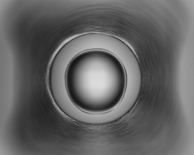 X0000099451531200805090717