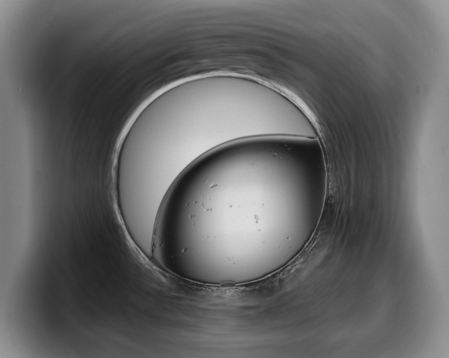 X0000099451532200805090717