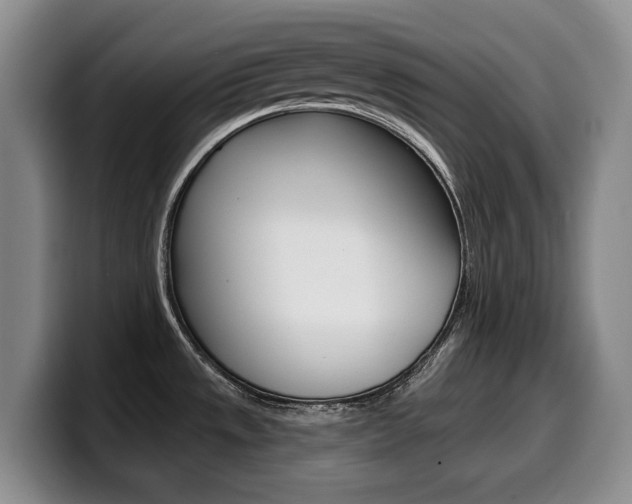 X0000099451533200805090717