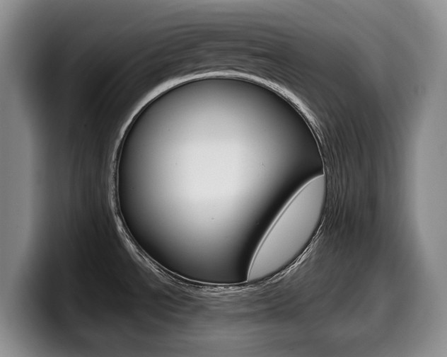 X0000099451534200805090717