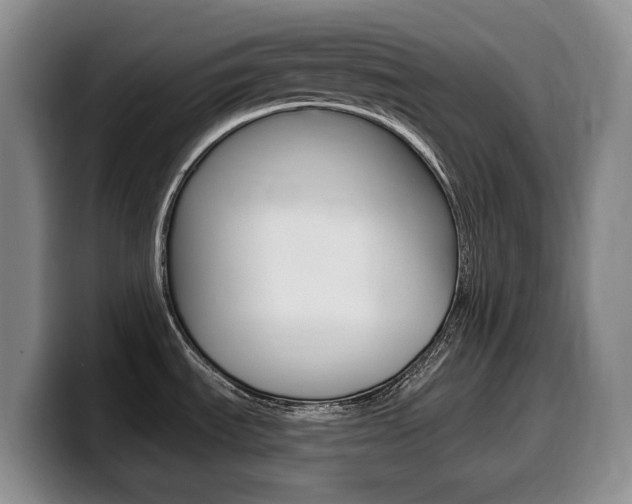 X0000099451535200805090717