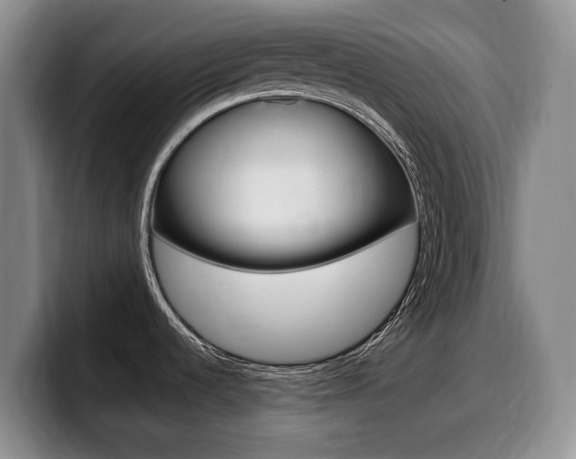 X0000099451536200805090717