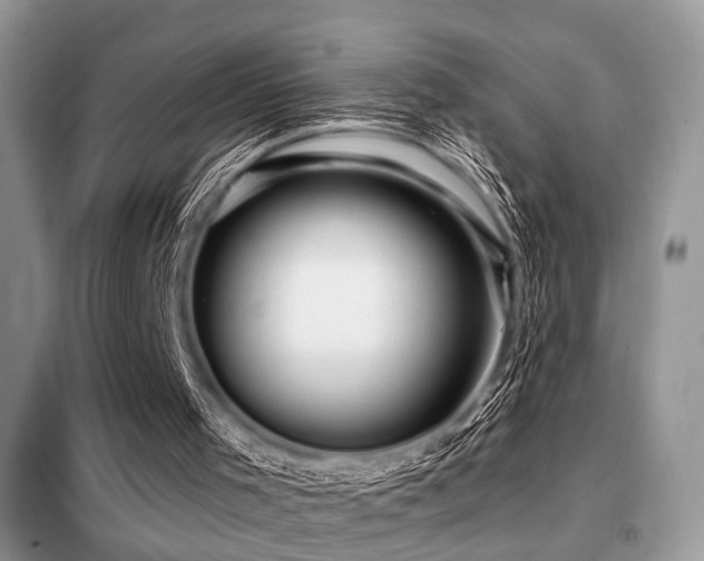 X0000099450001200805091516