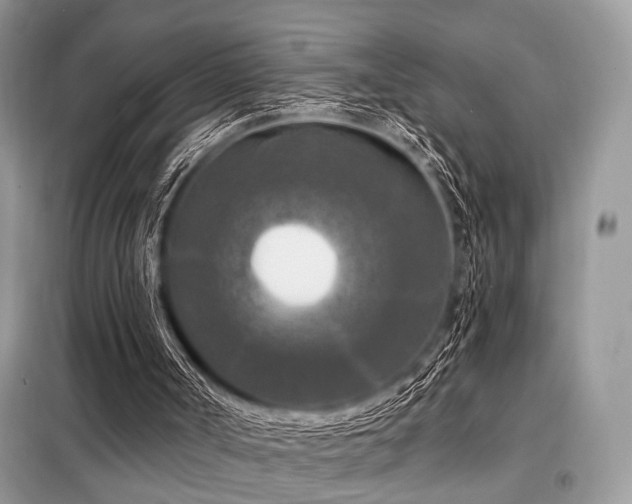 X0000099450002200805091516