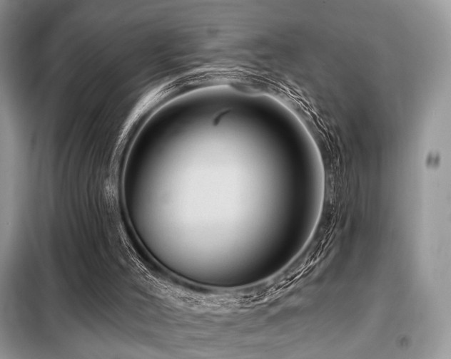 X0000099450004200805091516