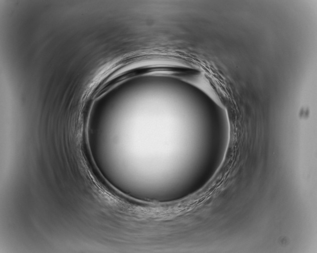 X0000099450005200805091516