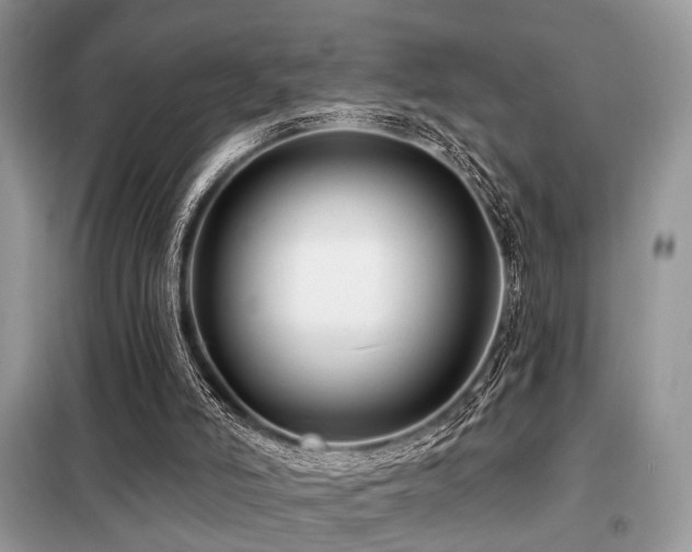 X0000099450006200805091516
