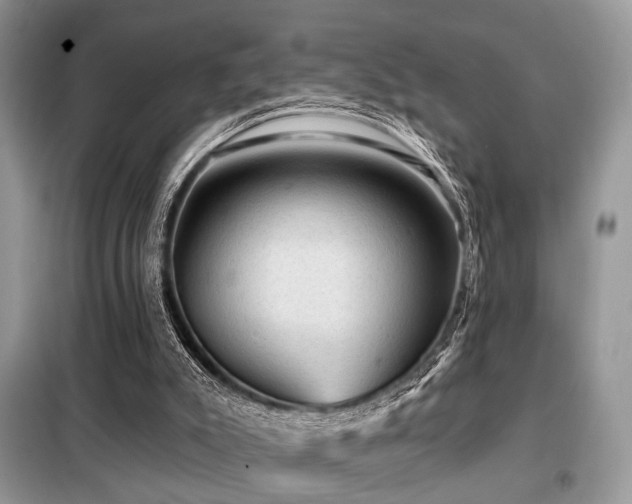 X0000099450007200805091516