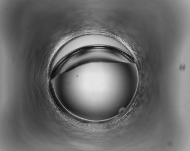 X0000099450008200805091516