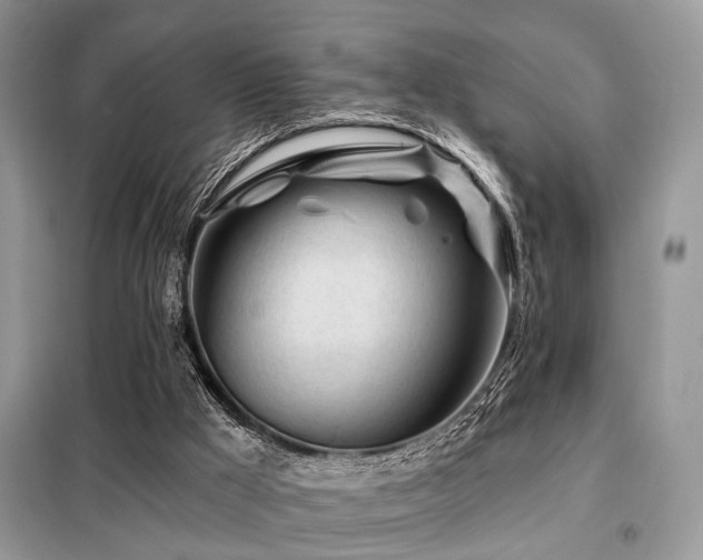 X0000099450009200805091516