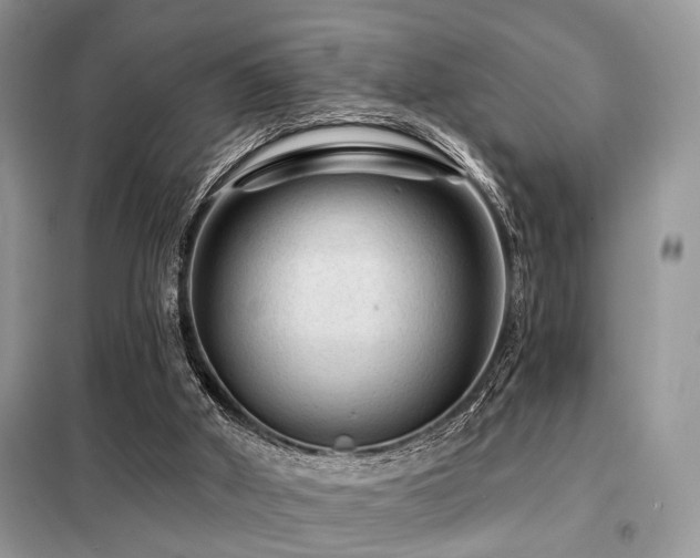 X0000099450010200805091516