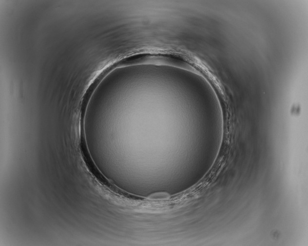 X0000099450011200805091516