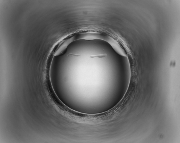 X0000099450012200805091516