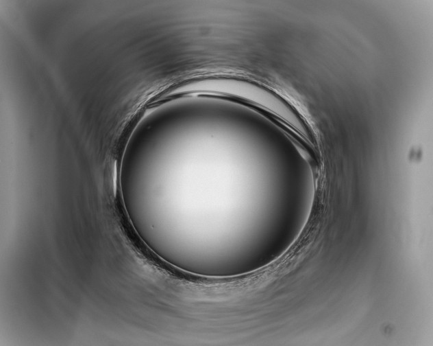X0000099450013200805091516