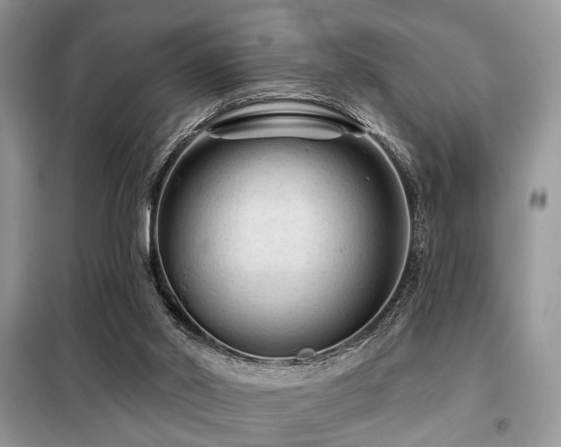 X0000099450014200805091516