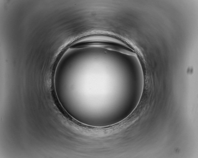 X0000099450015200805091516