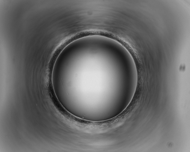X0000099450016200805091516