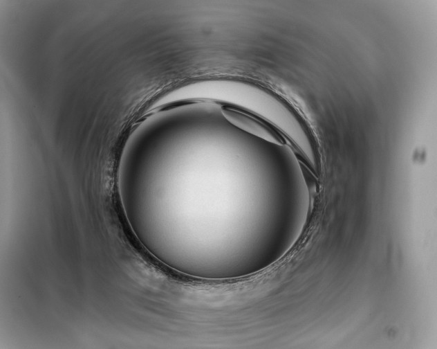 X0000099450017200805091516