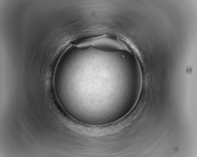X0000099450018200805091515