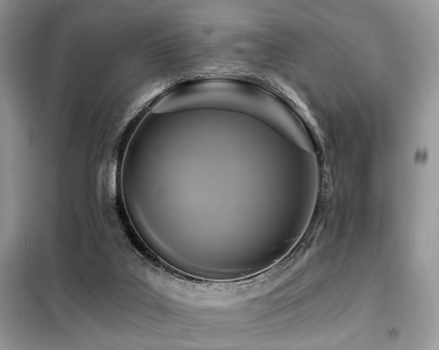X0000099450019200805091515