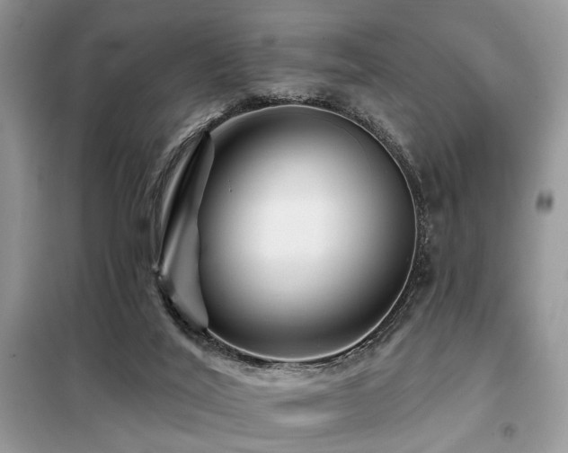 X0000099450020200805091515