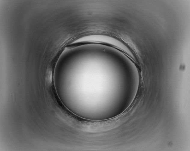 X0000099450021200805091515