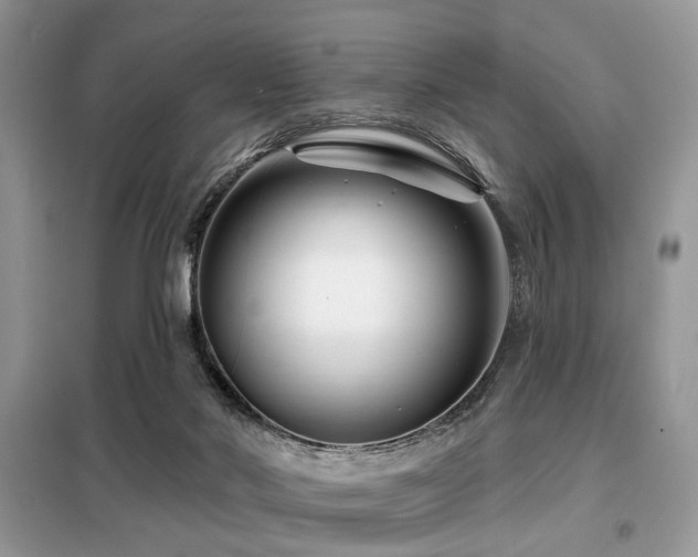 X0000099450022200805091515