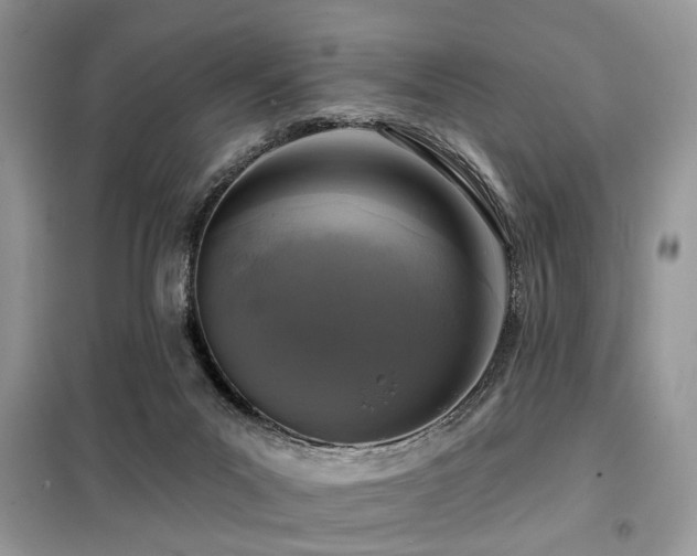 X0000099450023200805091515