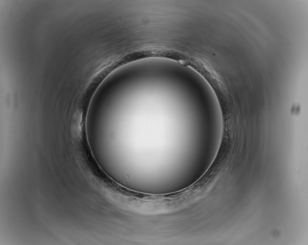 X0000099450024200805091515
