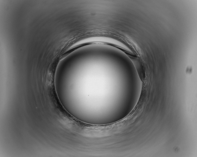 X0000099450025200805091515