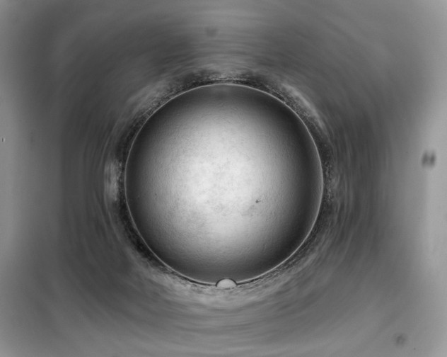 X0000099450026200805091515
