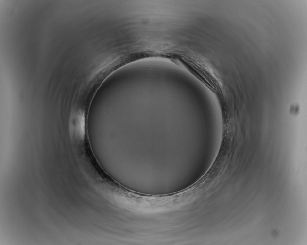 X0000099450027200805091515