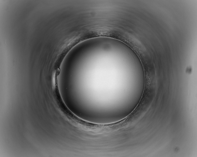 X0000099450028200805091515