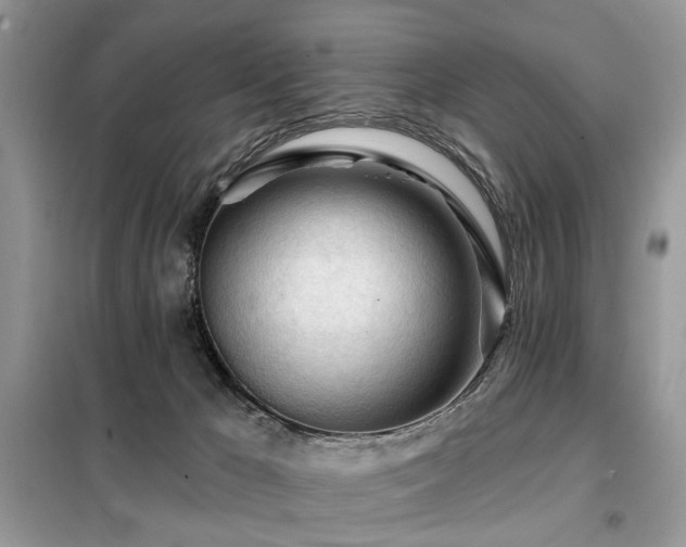X0000099450029200805091515