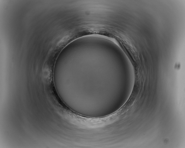 X0000099450031200805091515