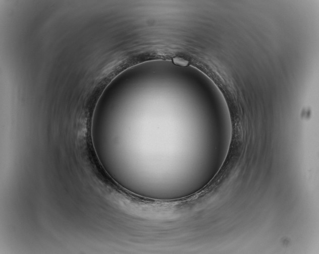 X0000099450032200805091515