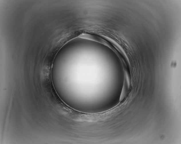 X0000099450033200805091515