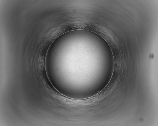 X0000099450034200805091515