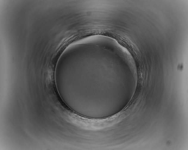 X0000099450035200805091515