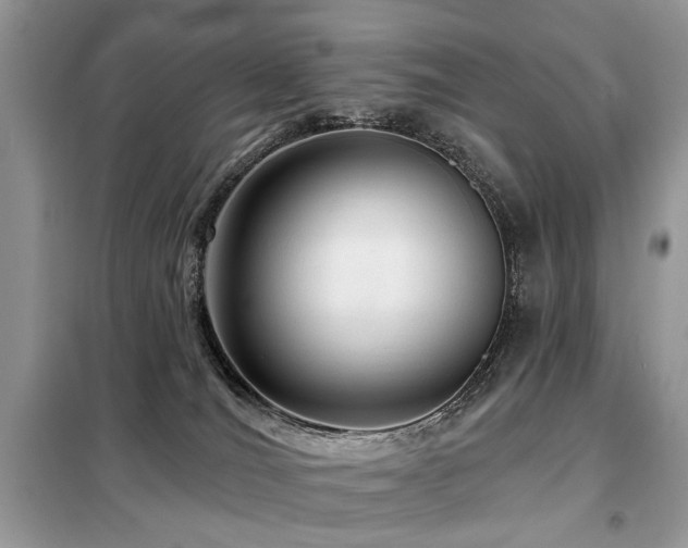 X0000099450036200805091515